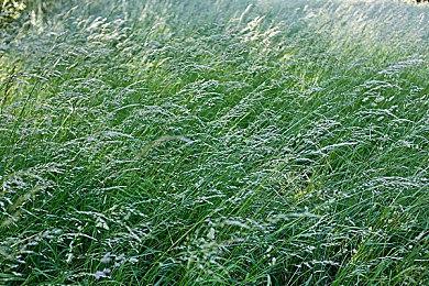 魂系射击游戏《遗迹2》9分钟实机试玩演示